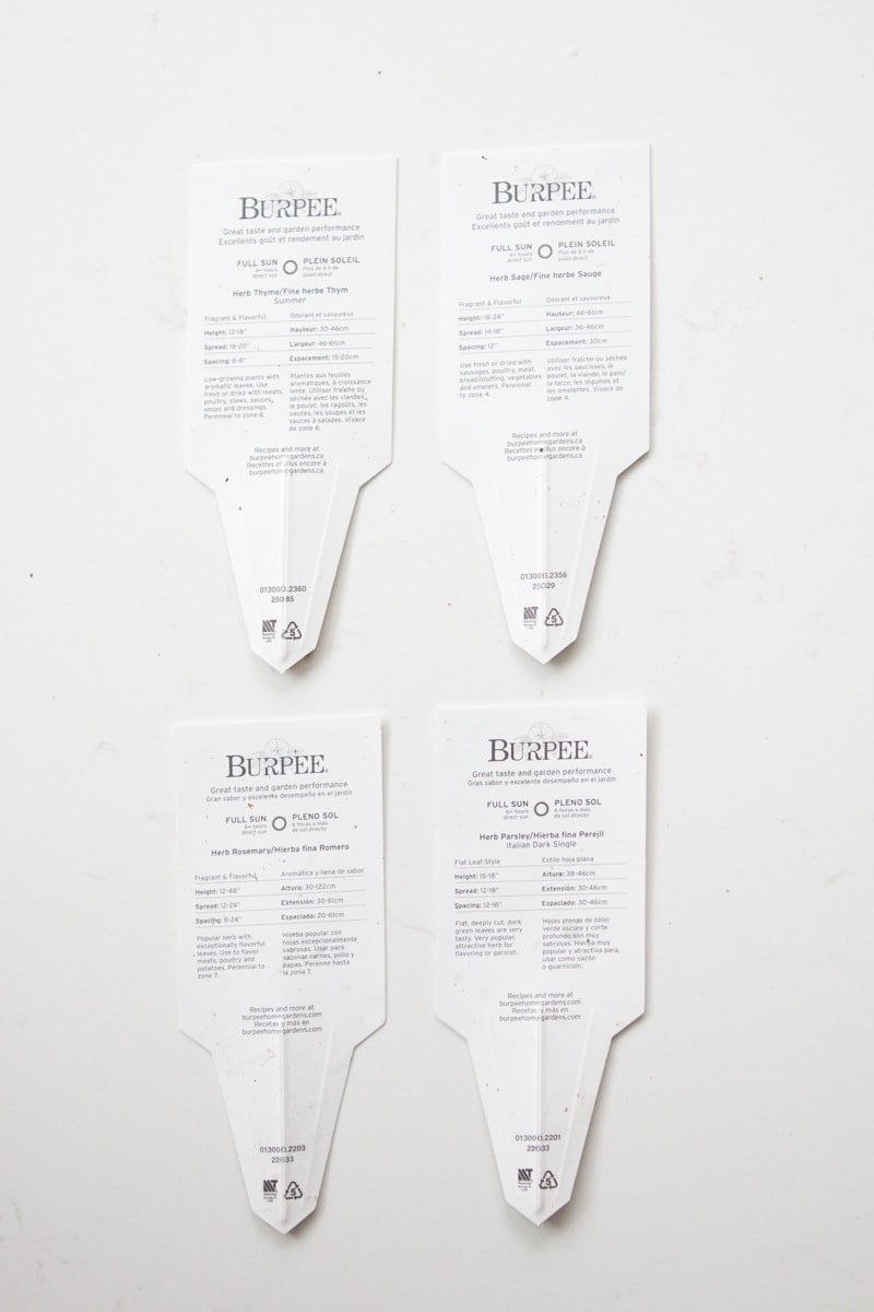 tags on a plant