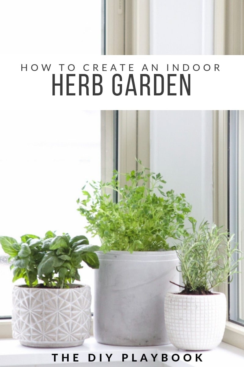 how to create an indoor herb garden