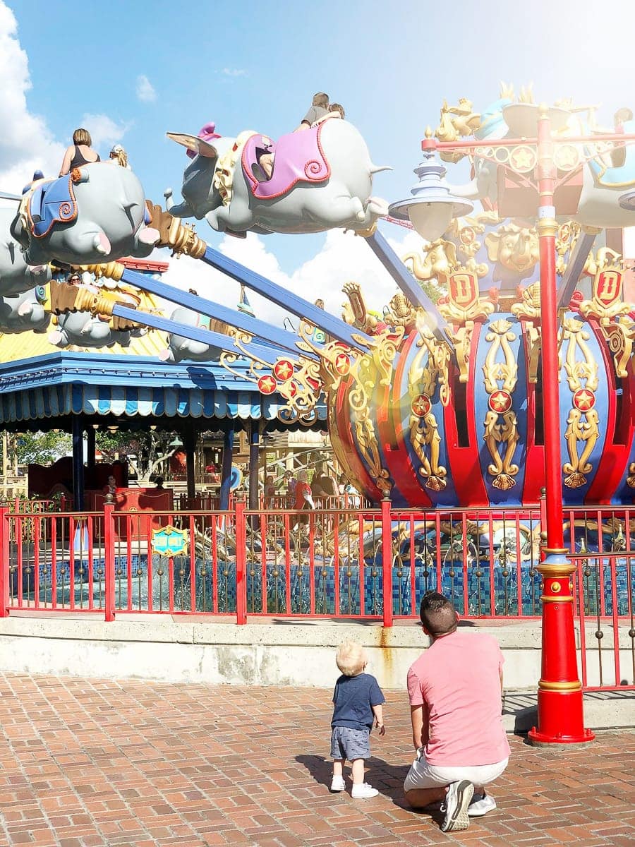 disney tips for newbies
