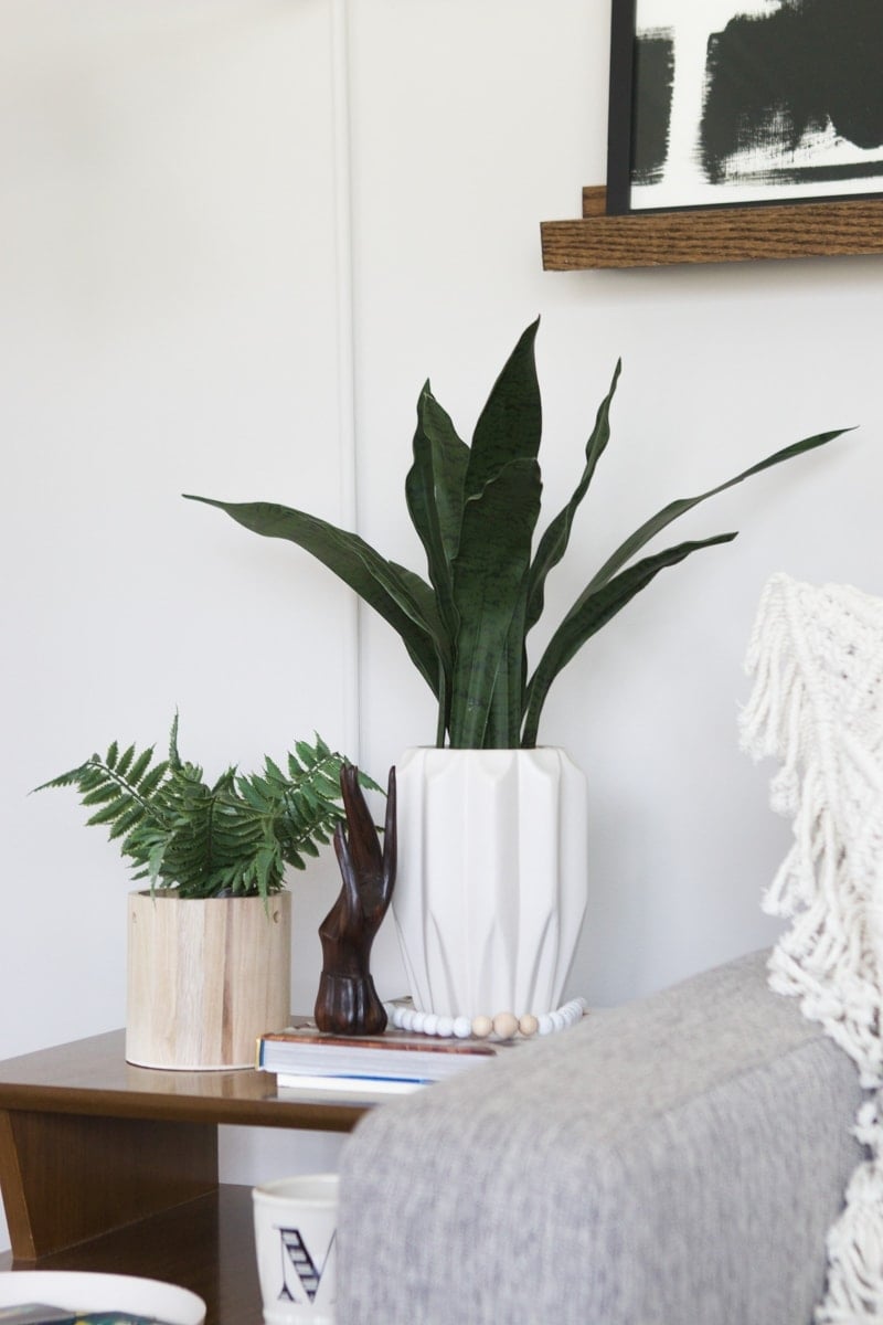 baby-friendly table accessories