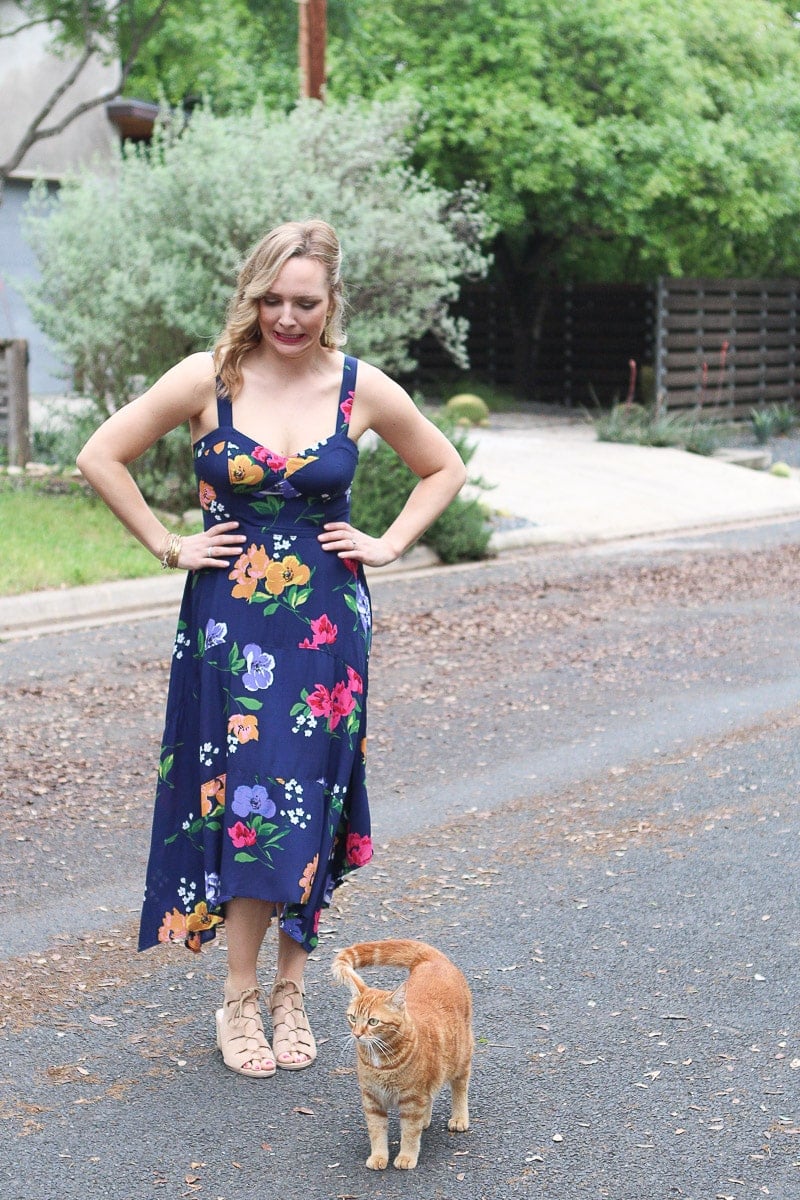 Cat photobombing photo shoot