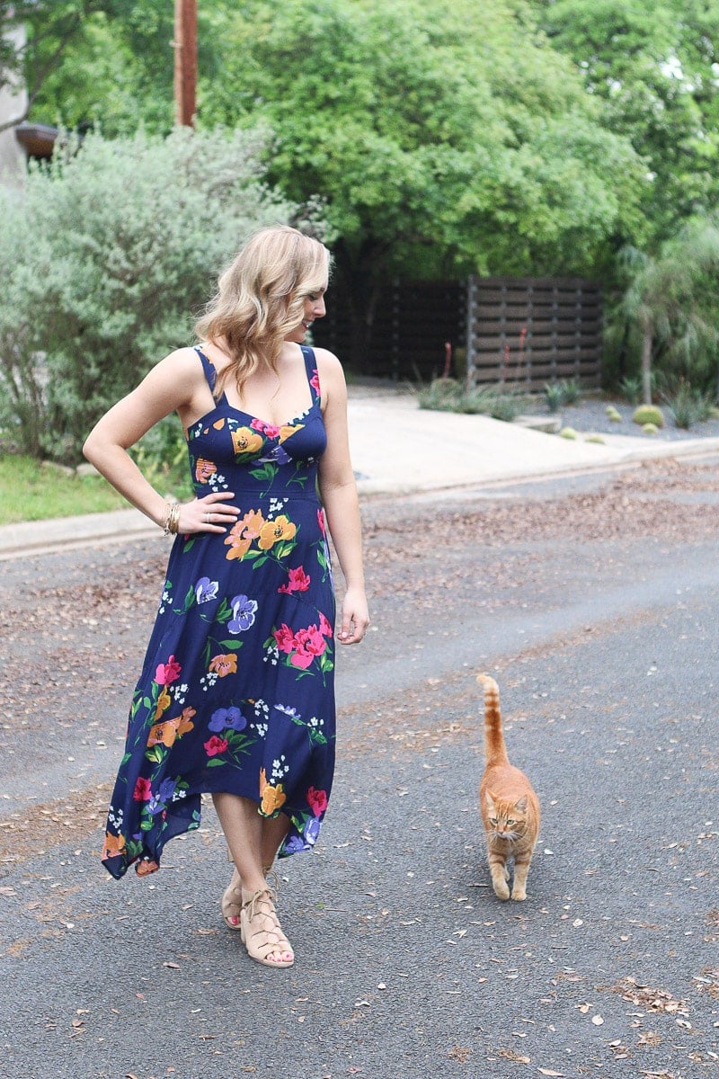 Cat photobombing photo shoot