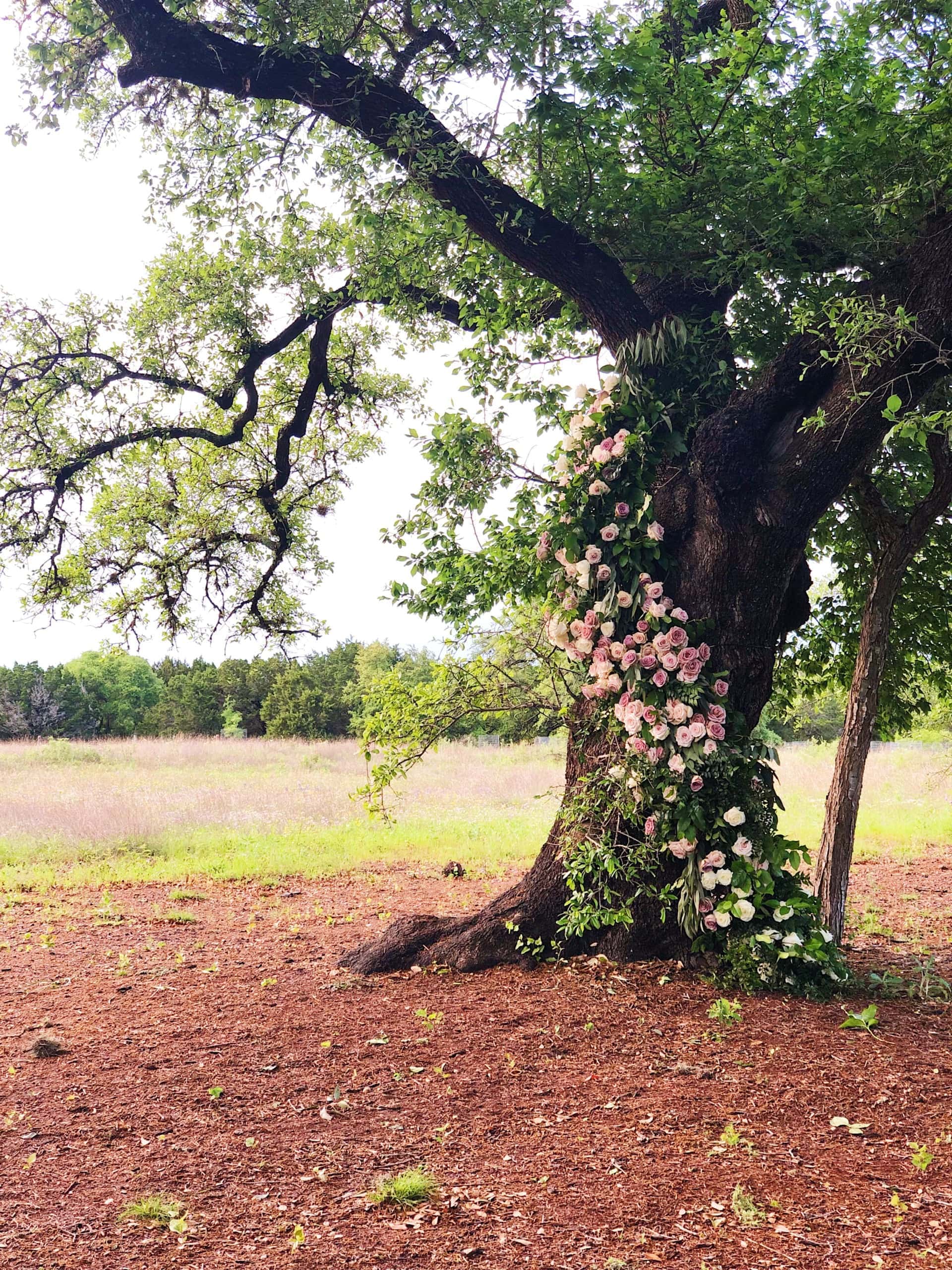 Getting married under a tree outside
