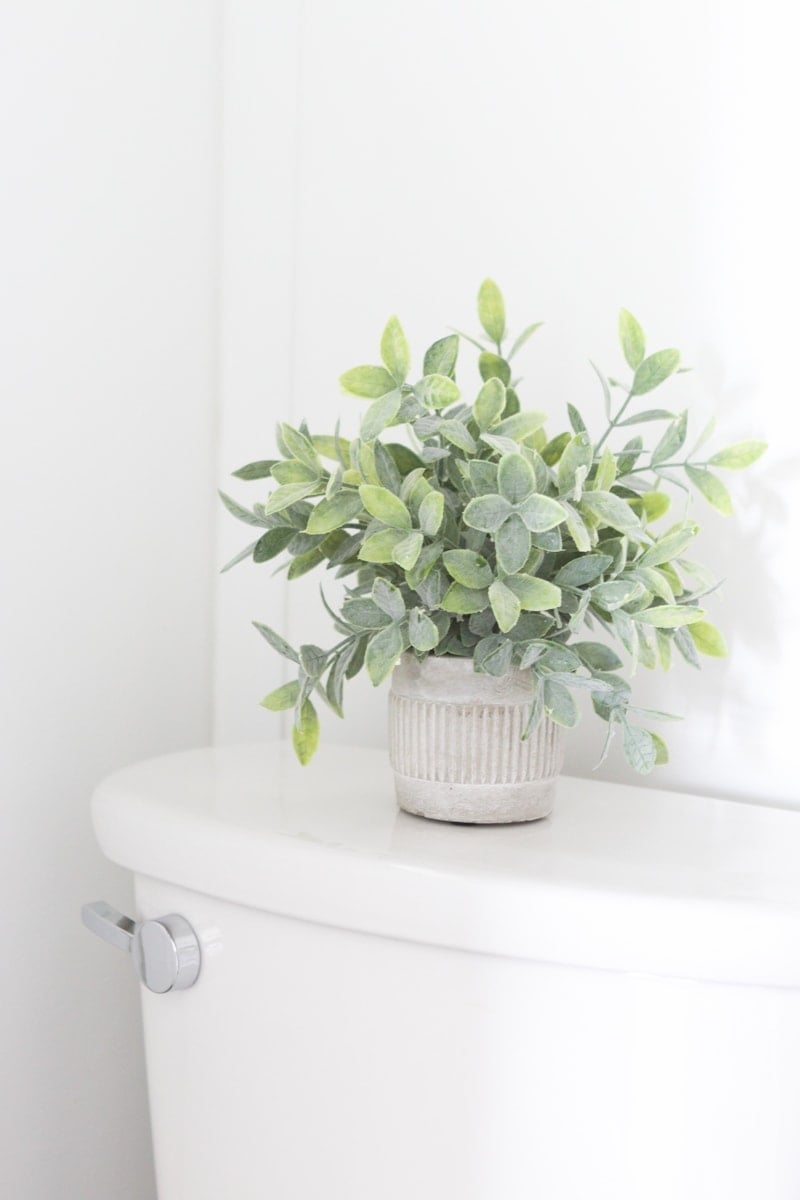 Faux greenery from Homegoods
