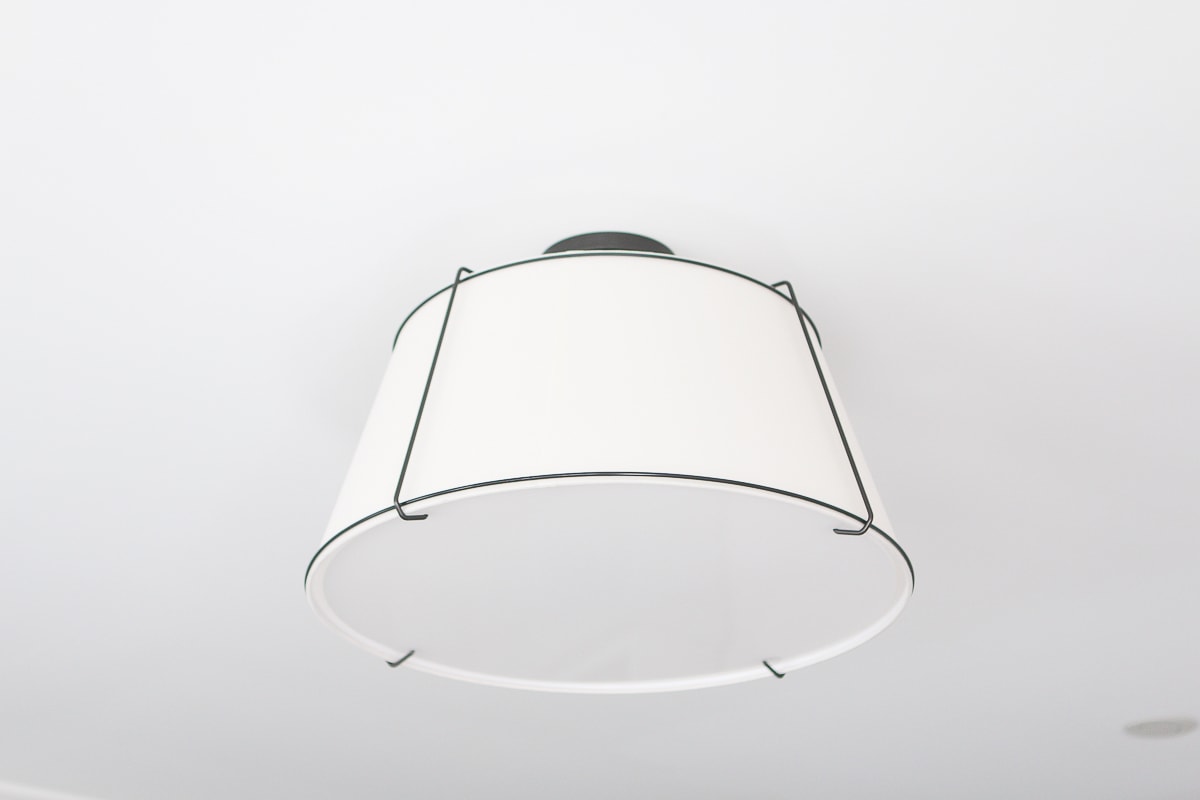 Rejuvenation light fixture