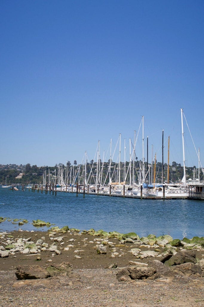 Sausalito views