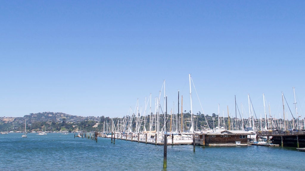 Ferry ride to sausalito