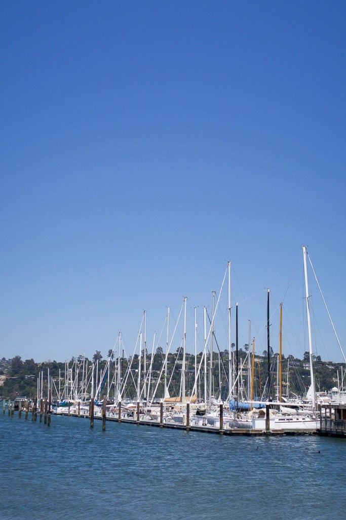 boats in Sausalito