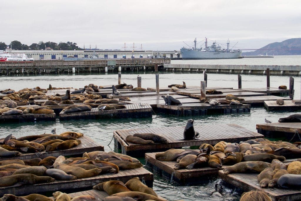Pier 39 in San Francisco