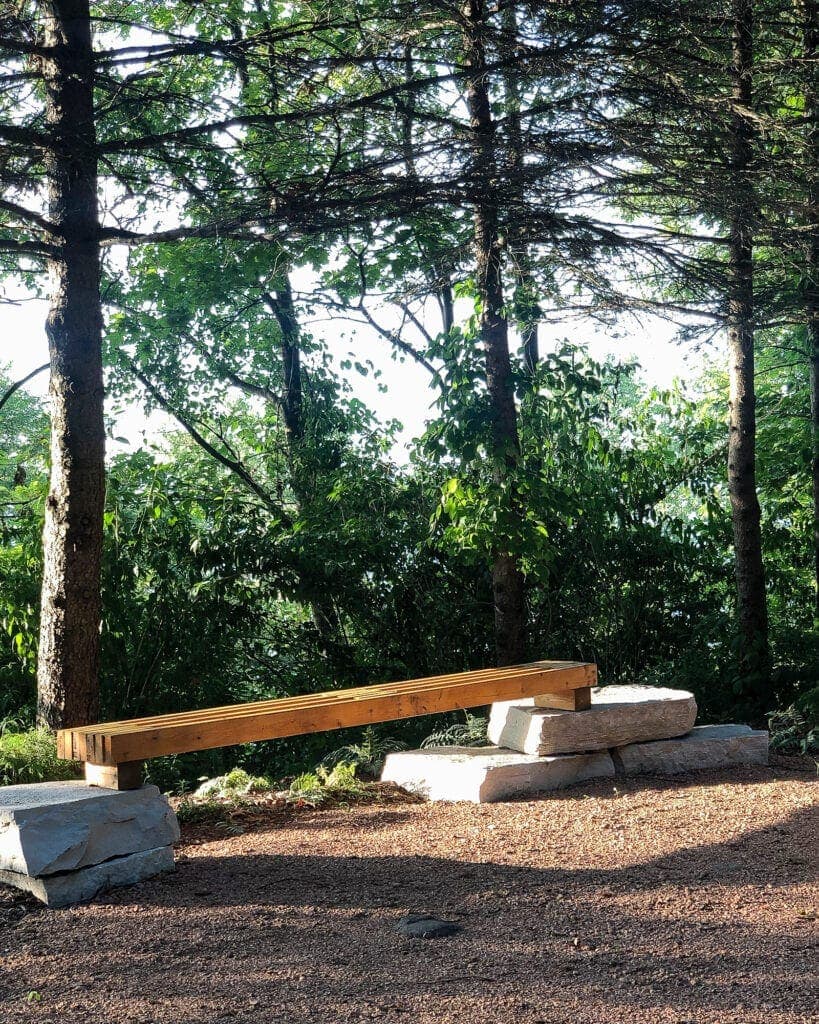 Forest in Beverly shores