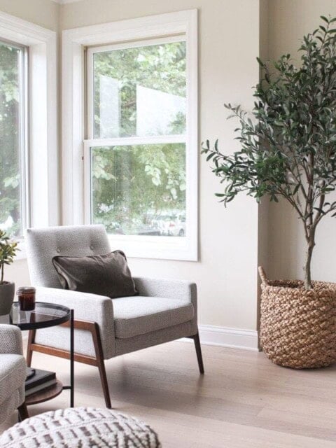 Adding living room seating to our space
