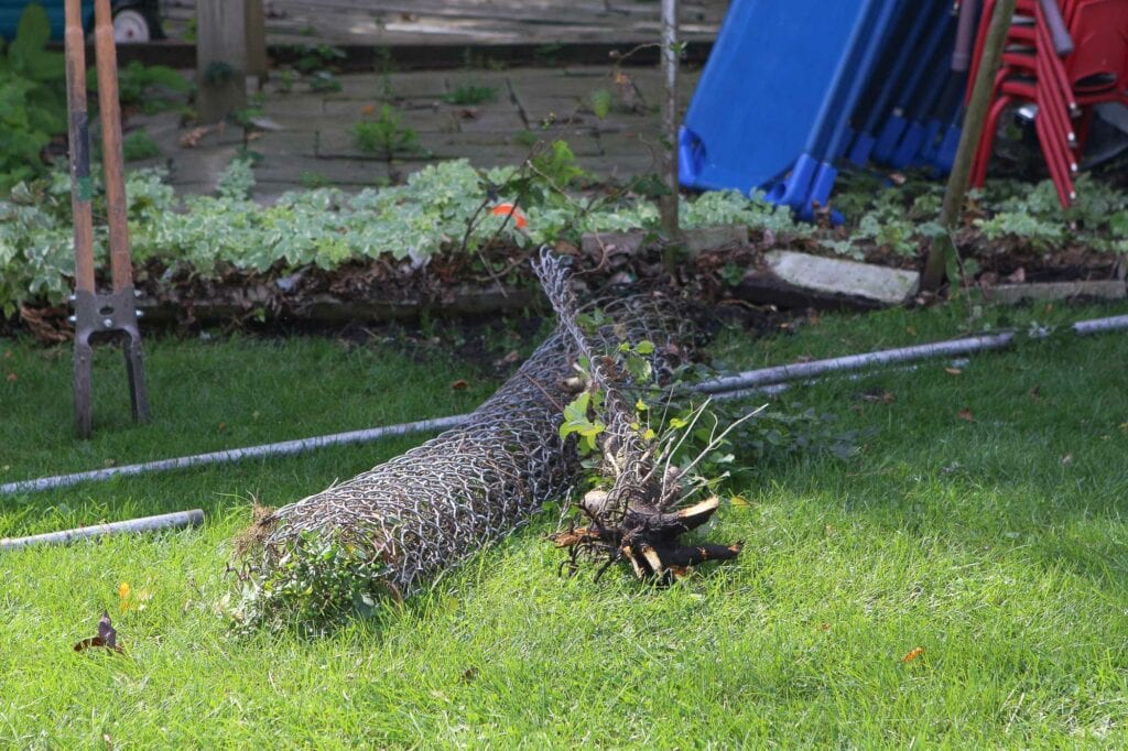 Getting rid of chain link fence