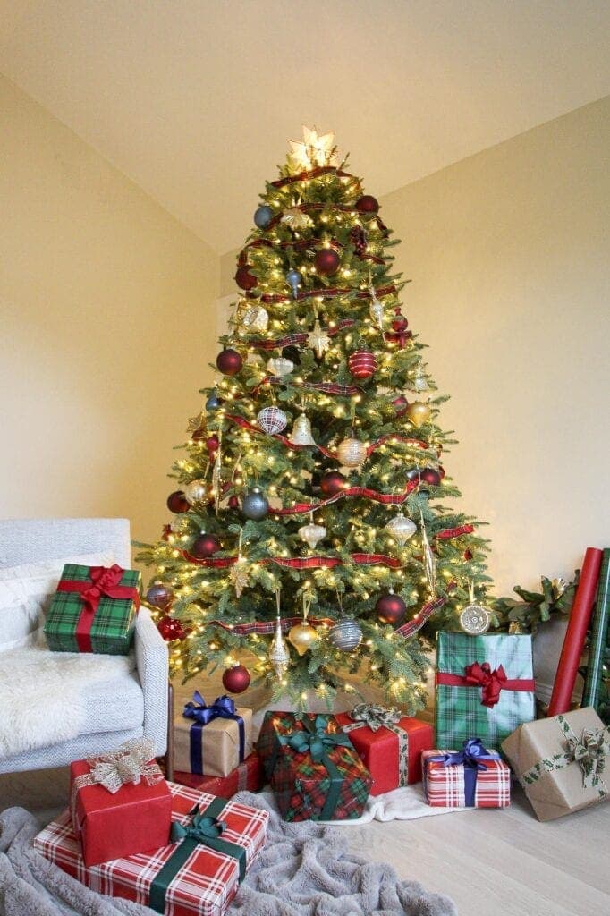 Our Christmas Tree
