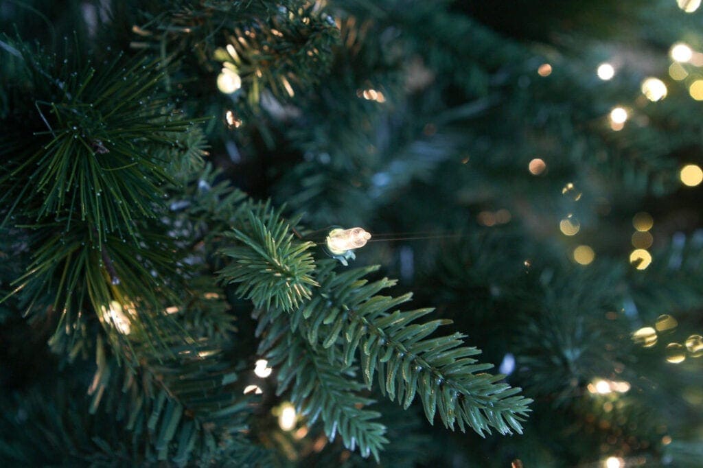 Lights on the Target tree