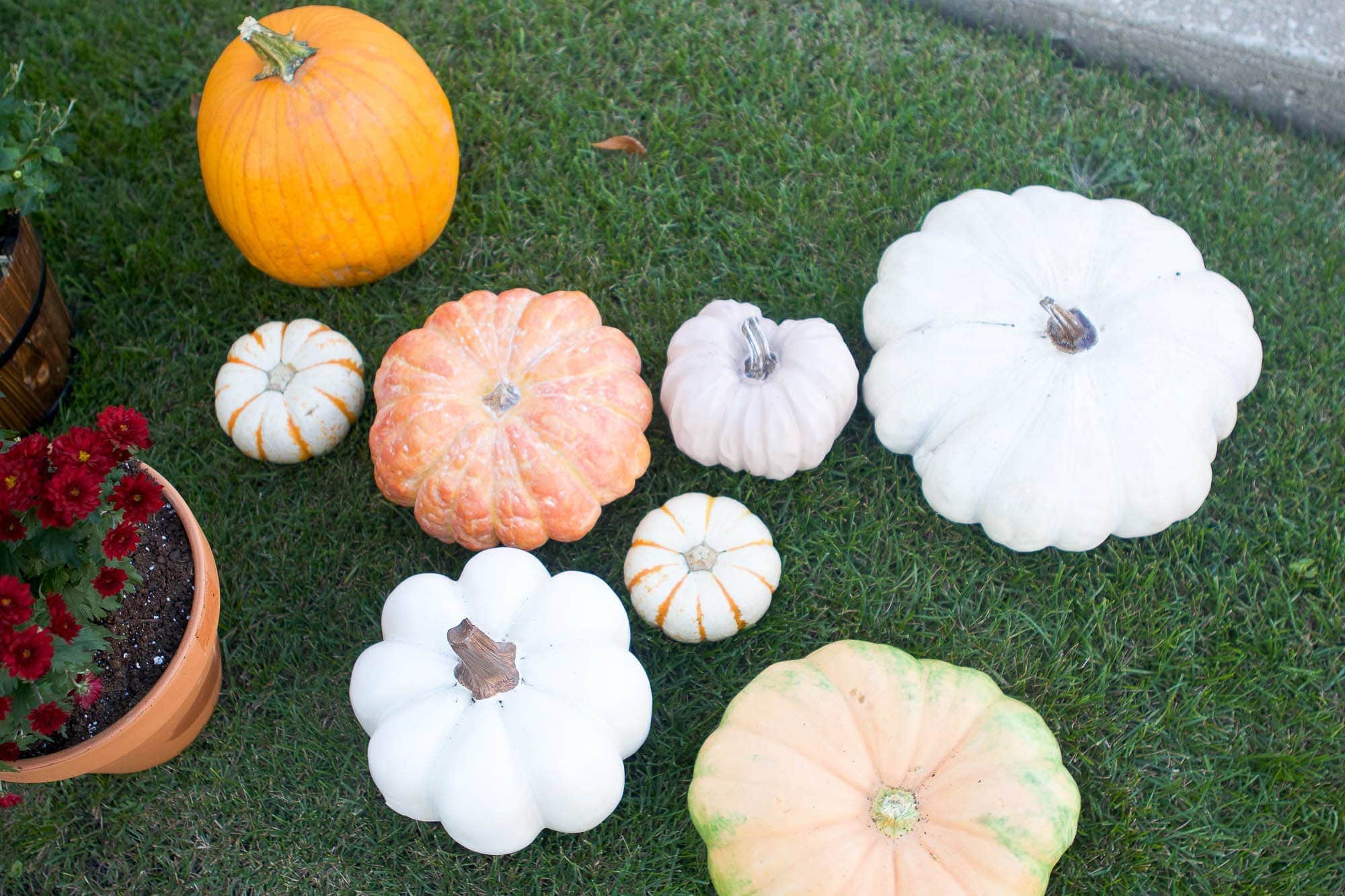 Adding faux and real pumpkins to my fall front porch
