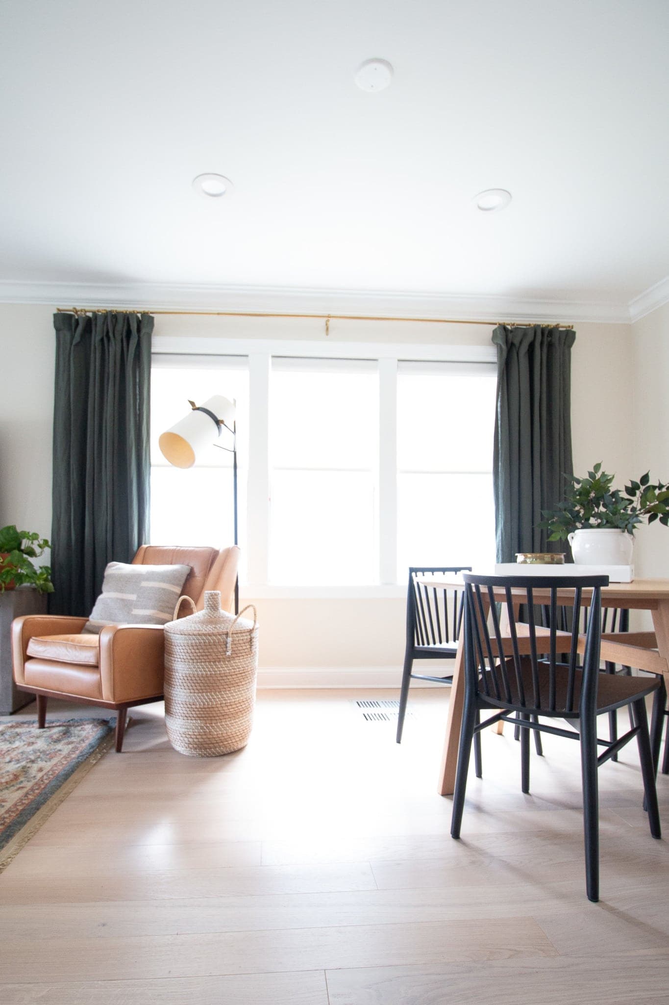 Living room window shades