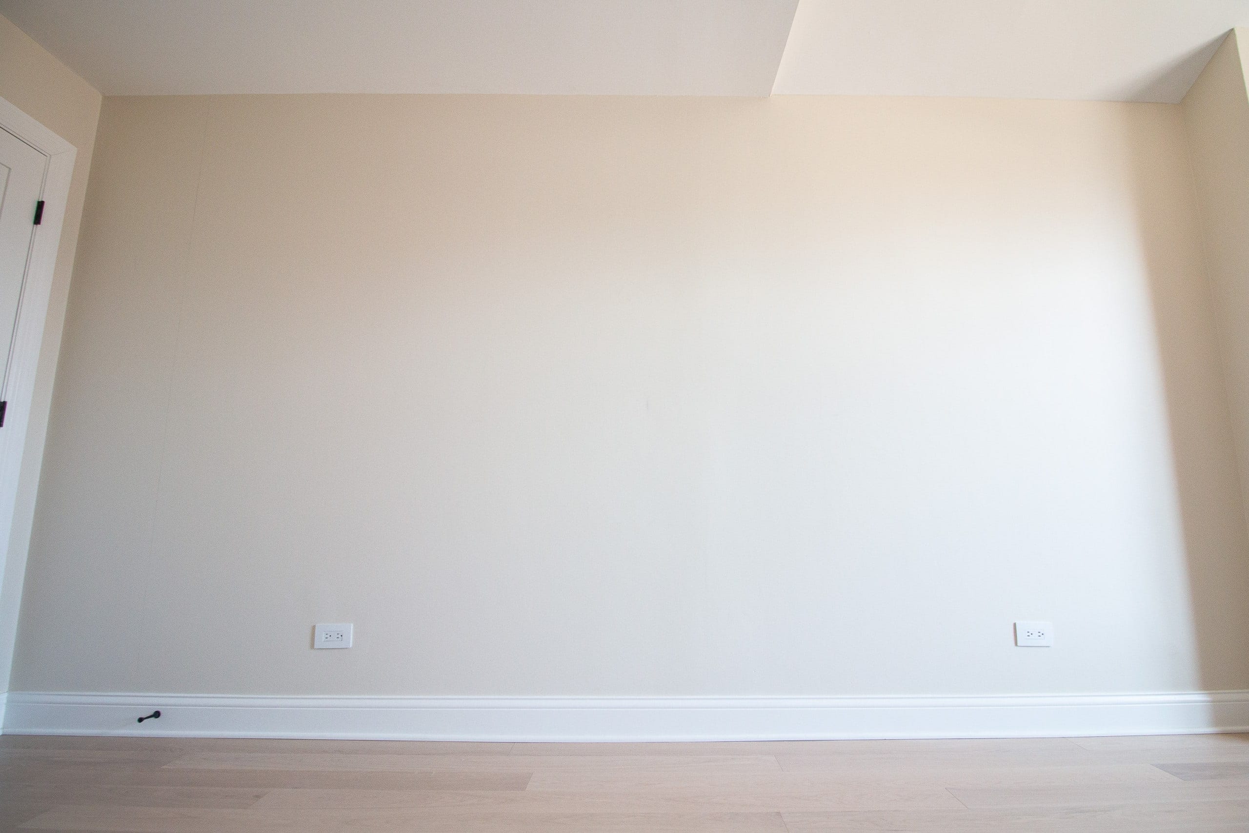 Blank wall in the office