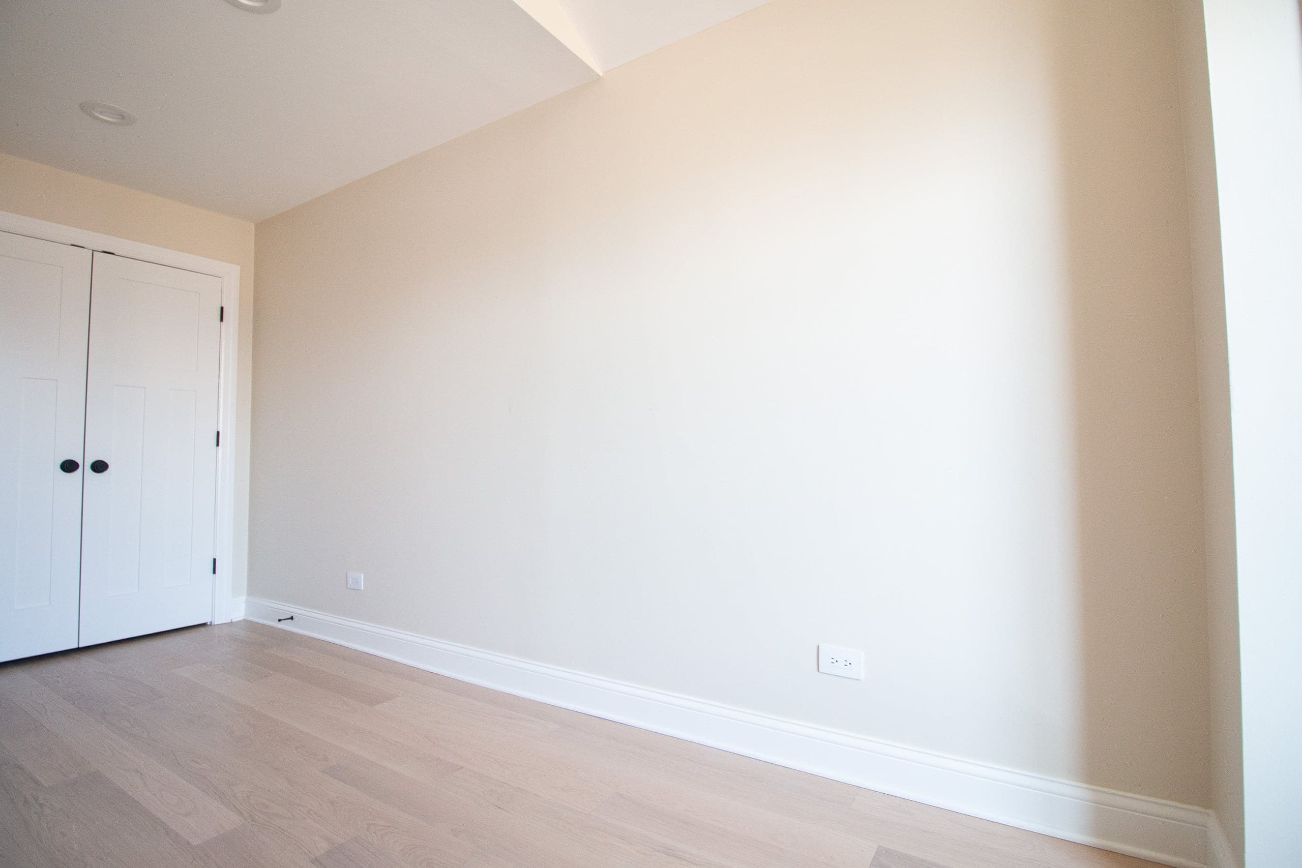 Blank wall in the office