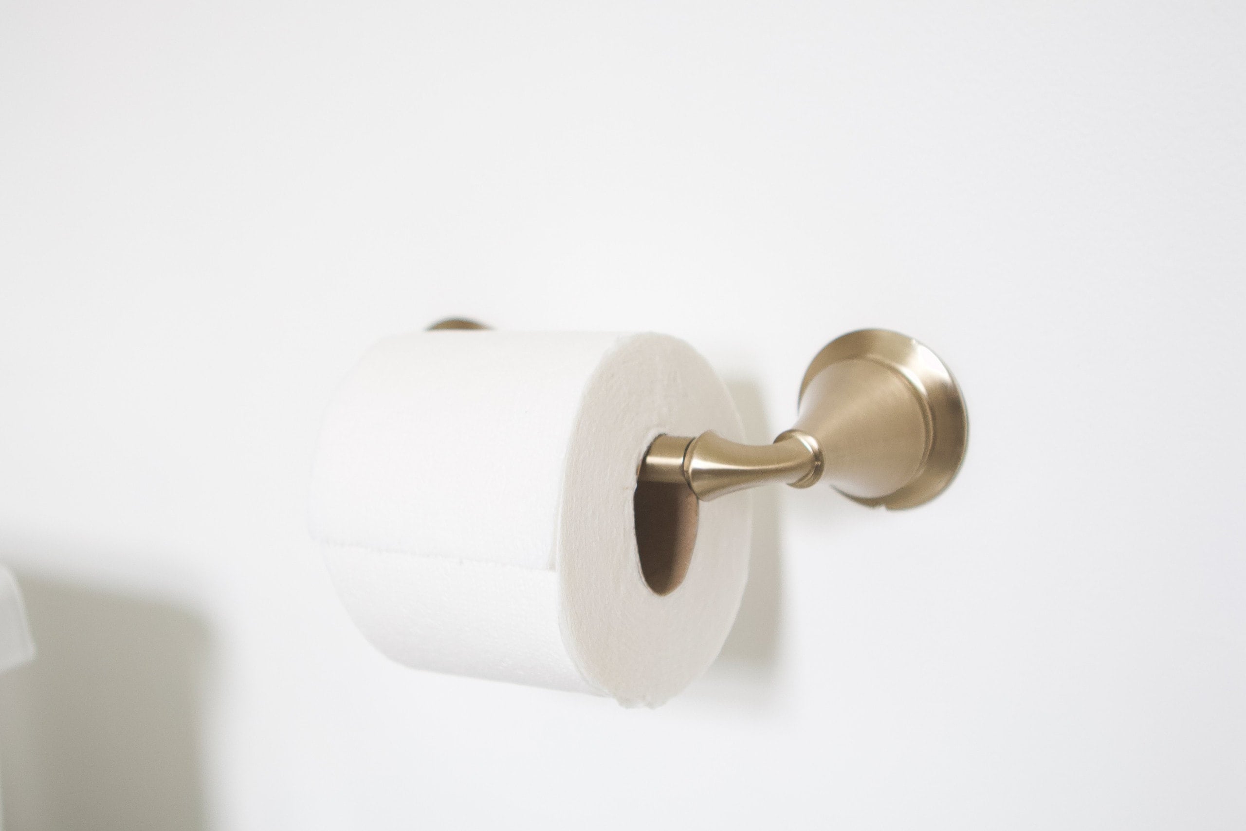 Brass toilet paper holder