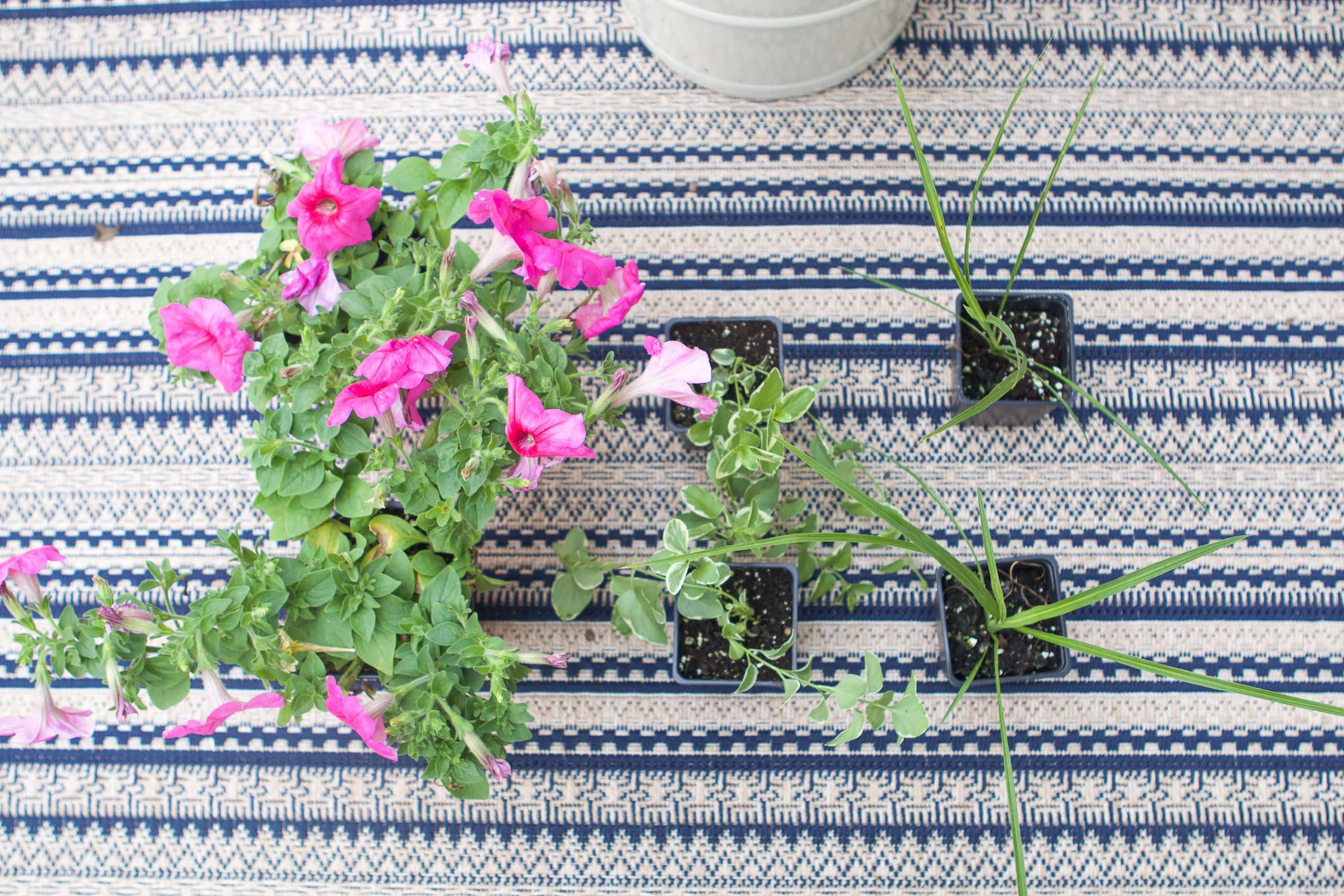 How to plant flowers in a planter