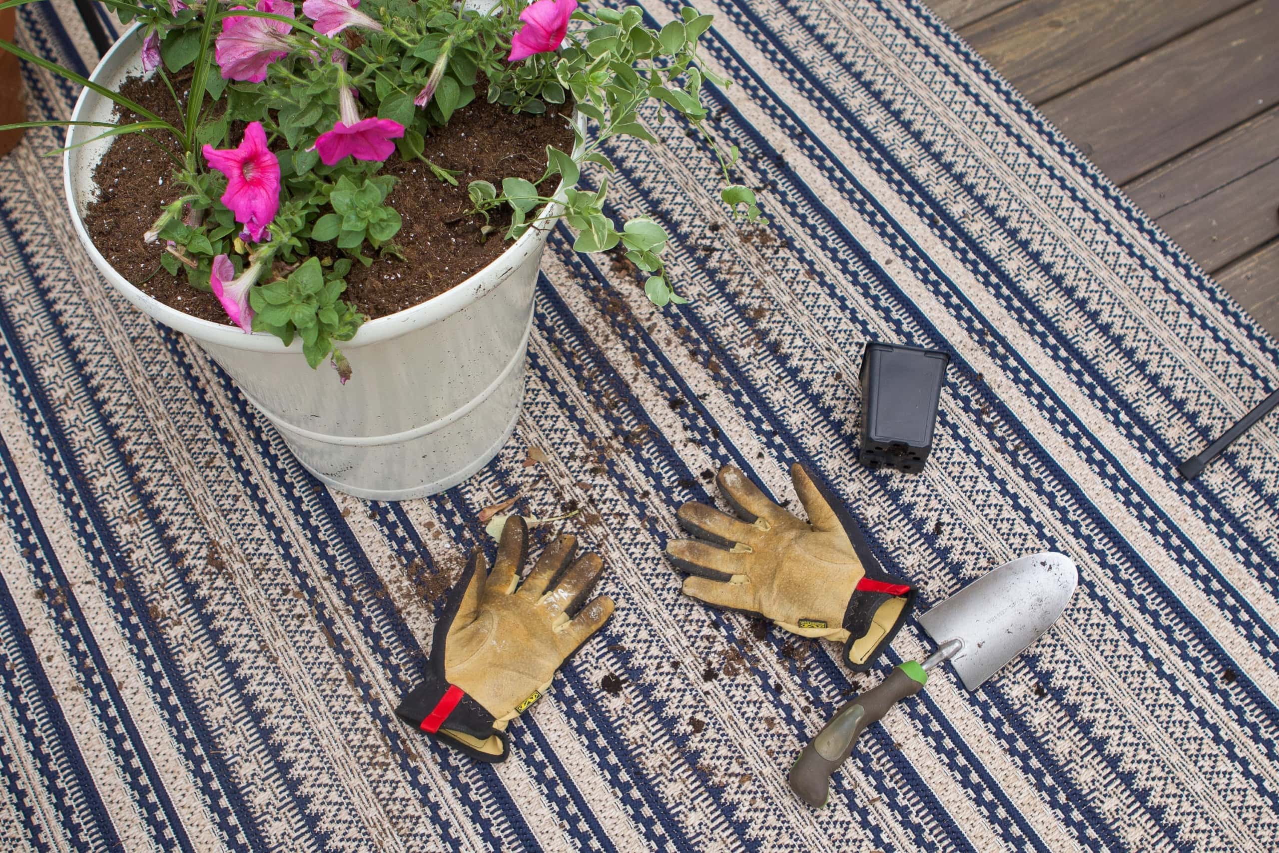 How to plant in a planter
