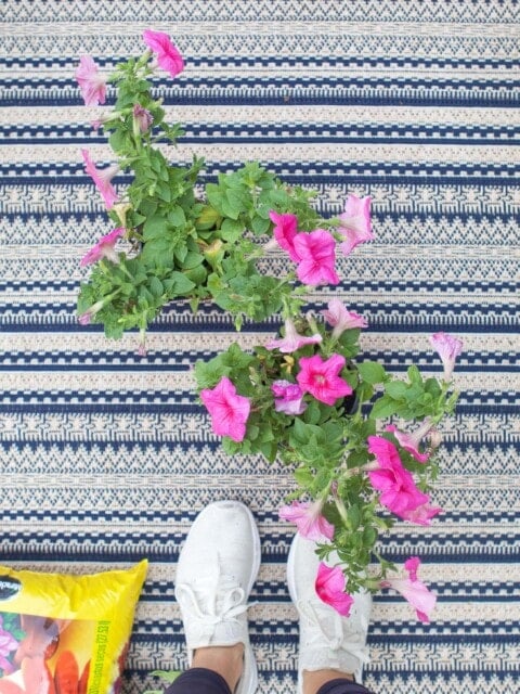 How to plant flowers in a pot