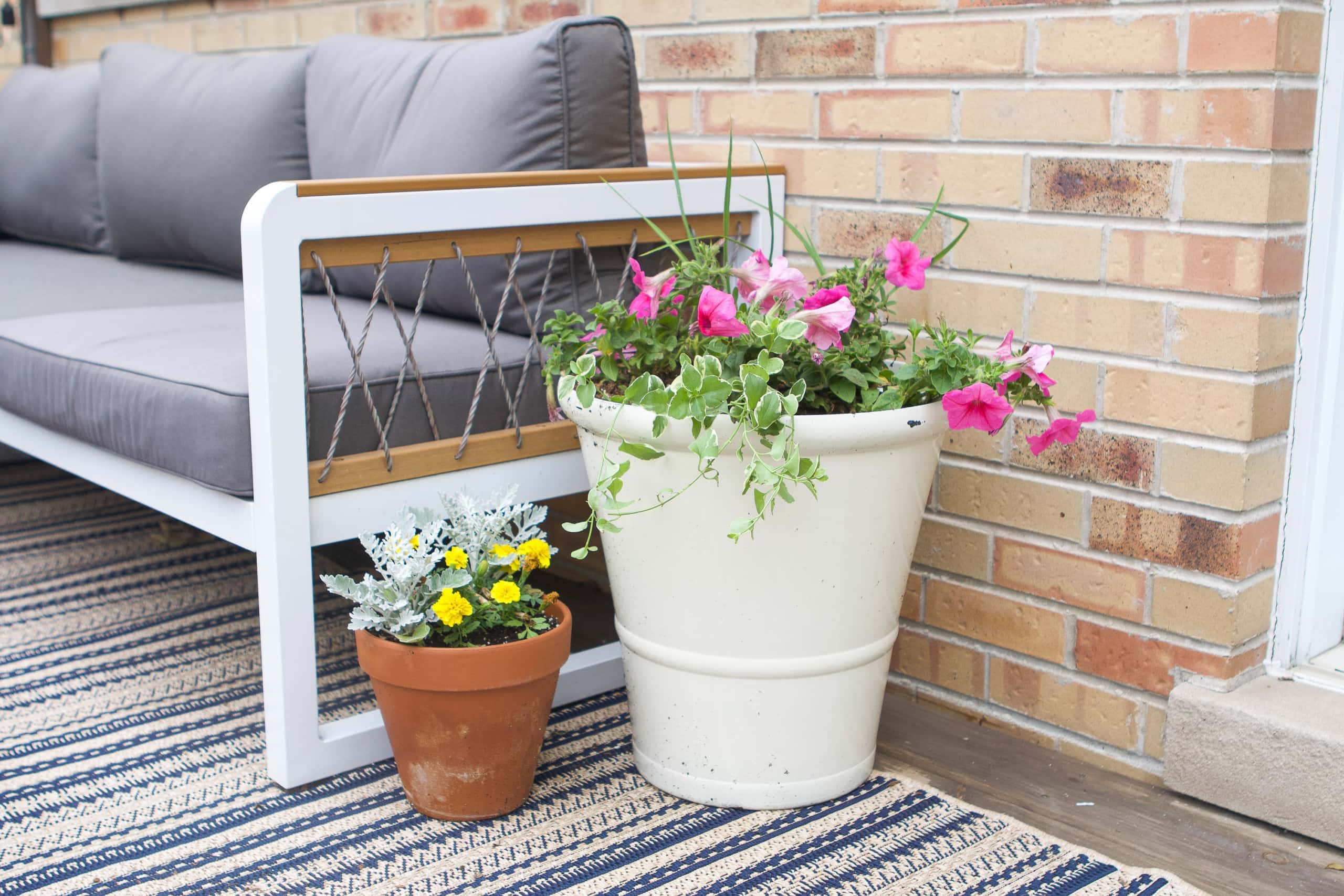 How to plant flowers in a pot