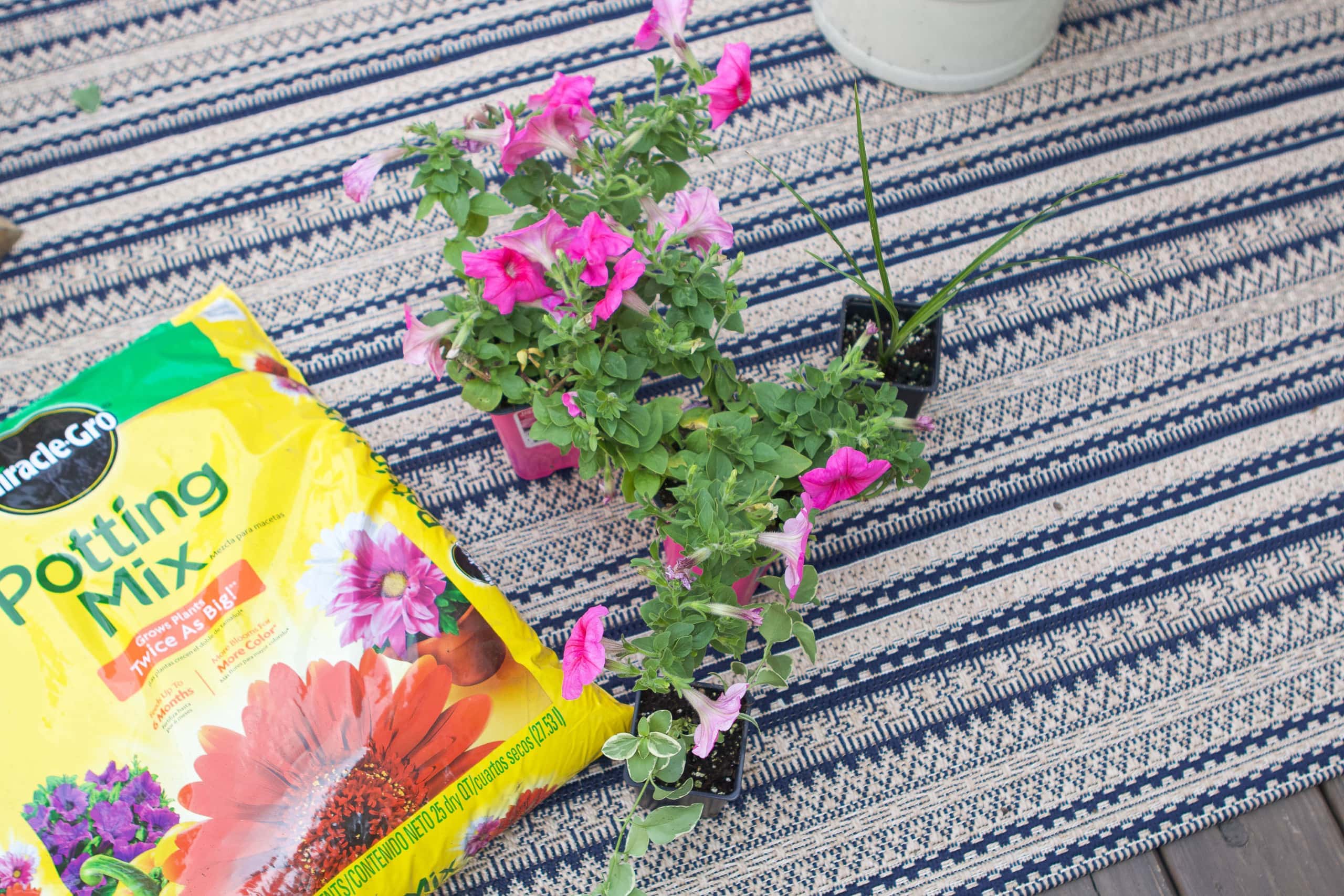 How to plant flowers in a pot