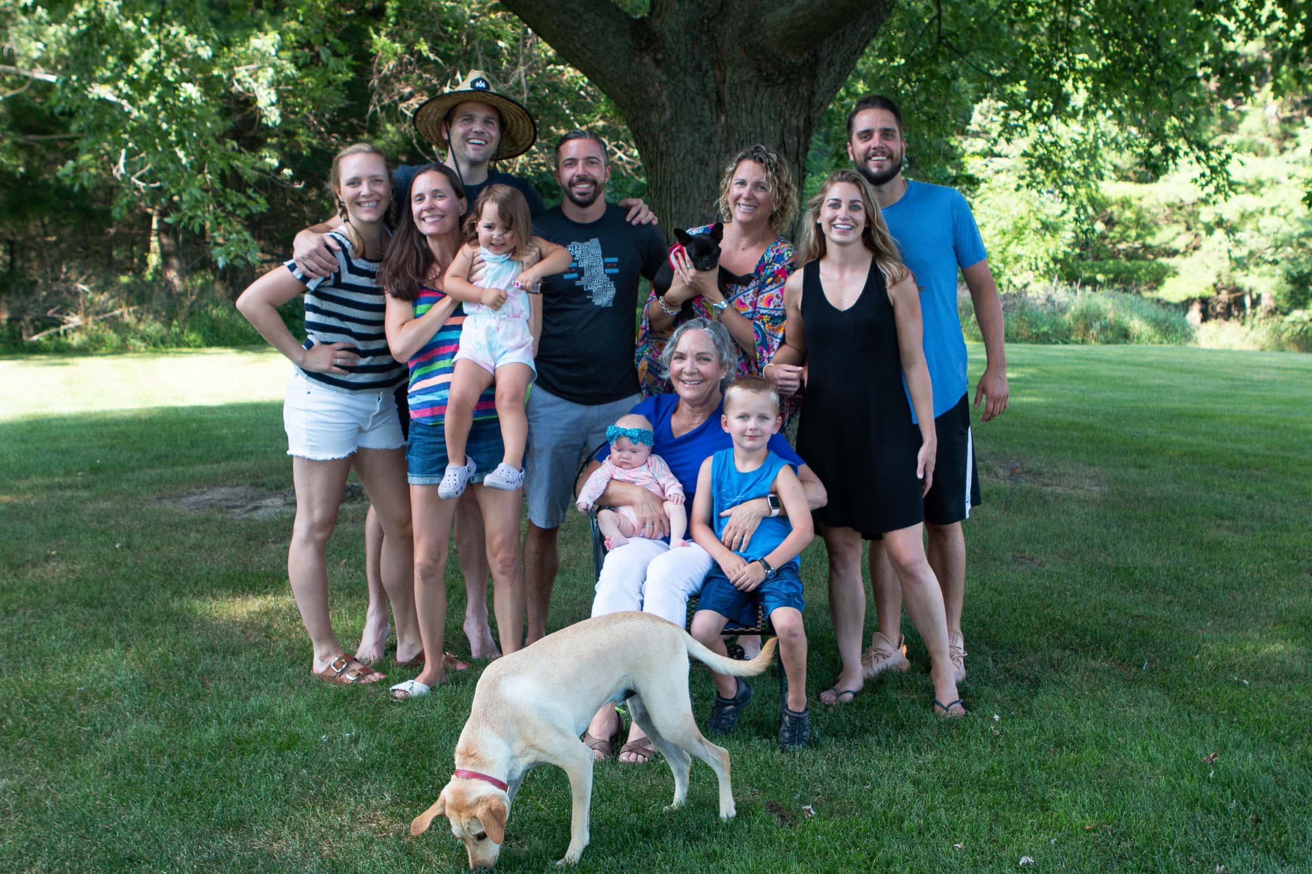 Our family trip to the farm