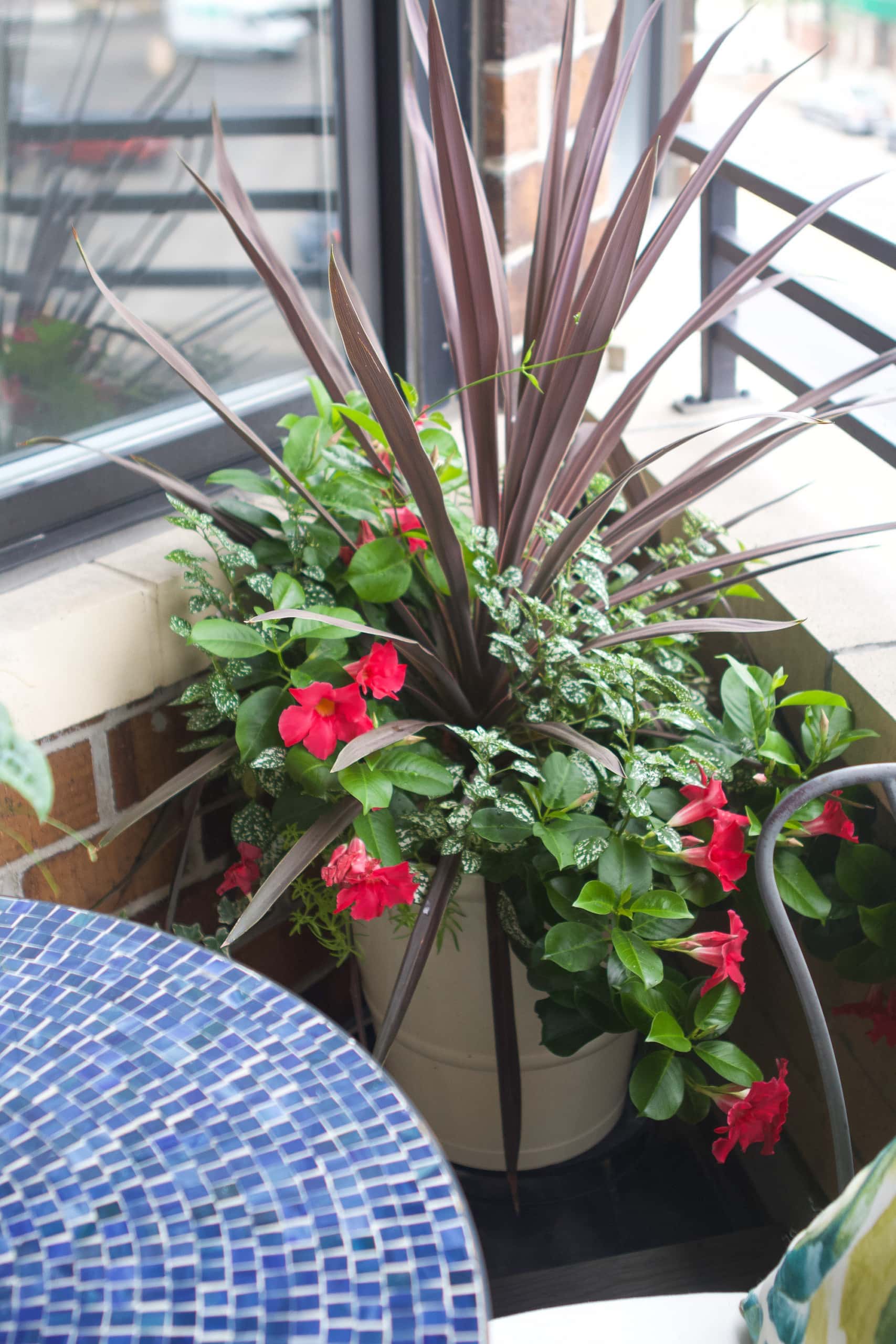 Planter outdoors