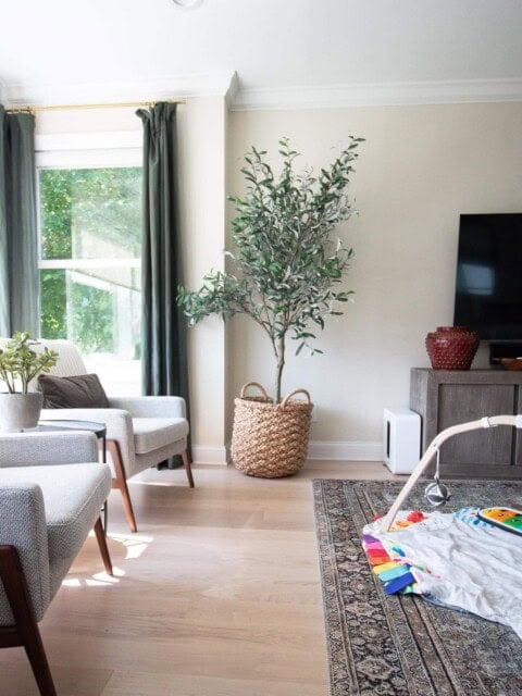 Baby storage in the living room