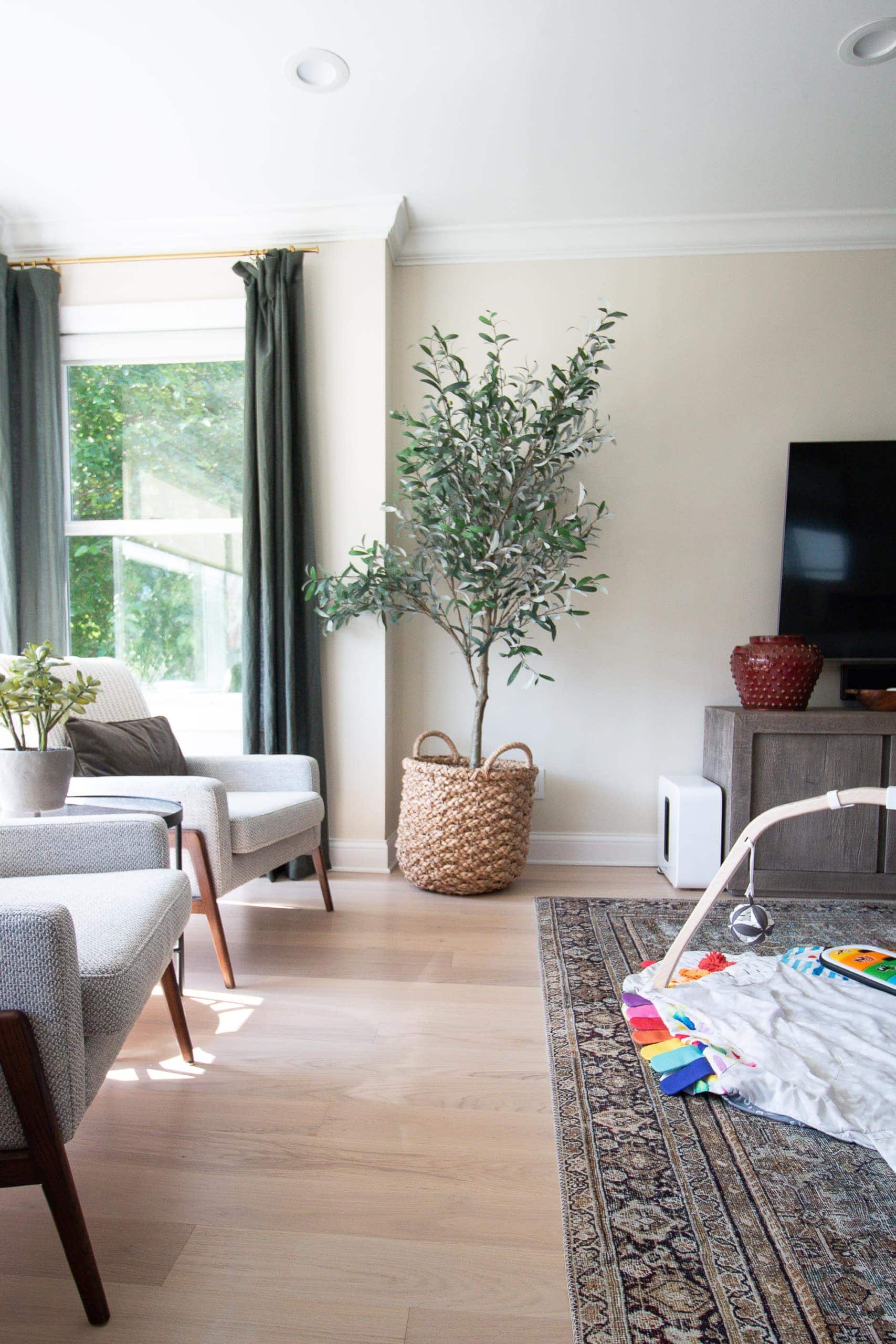 Baby storage in the living room