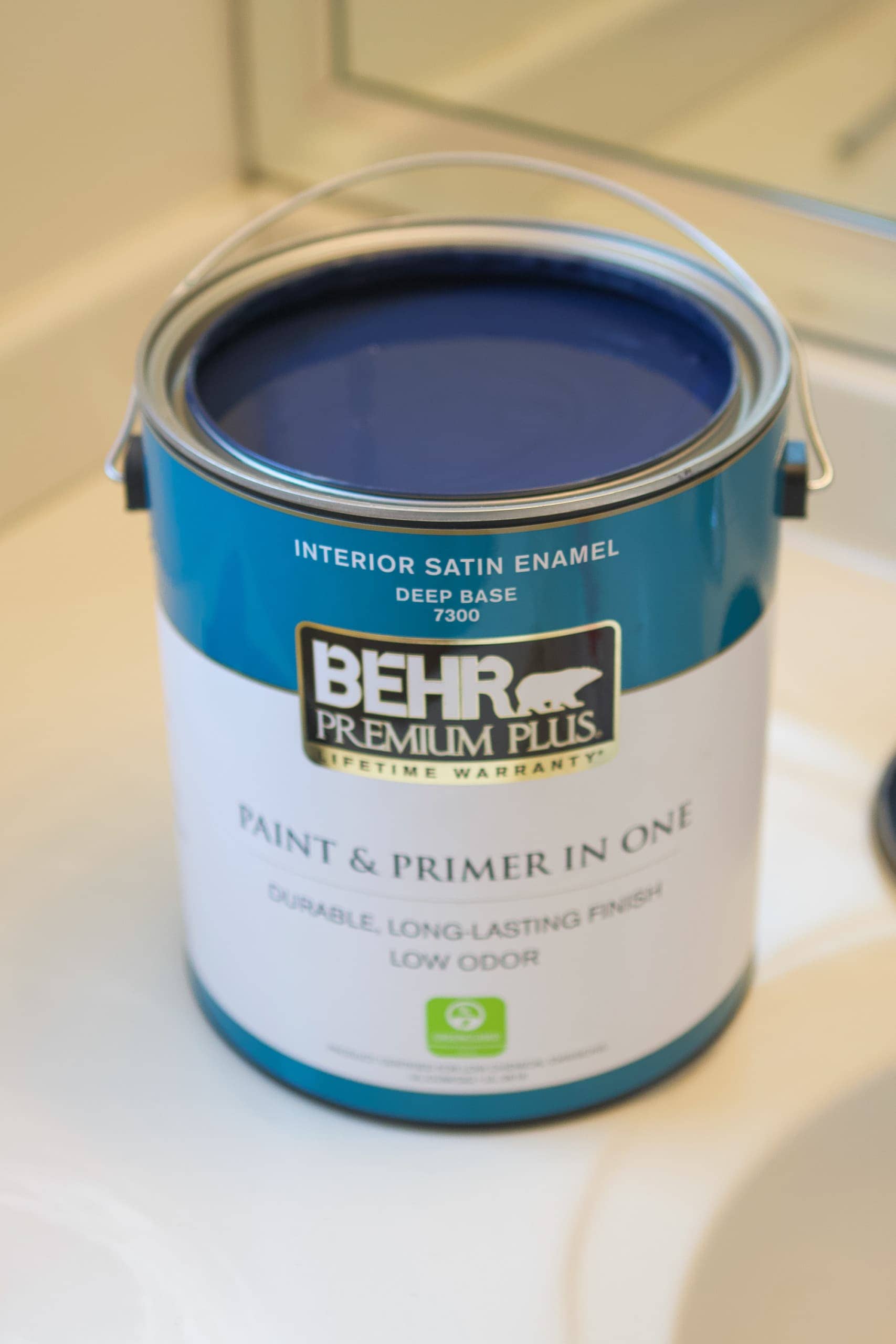 Behr paint