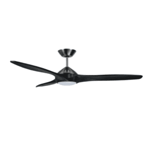 black fan