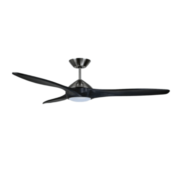 black fan