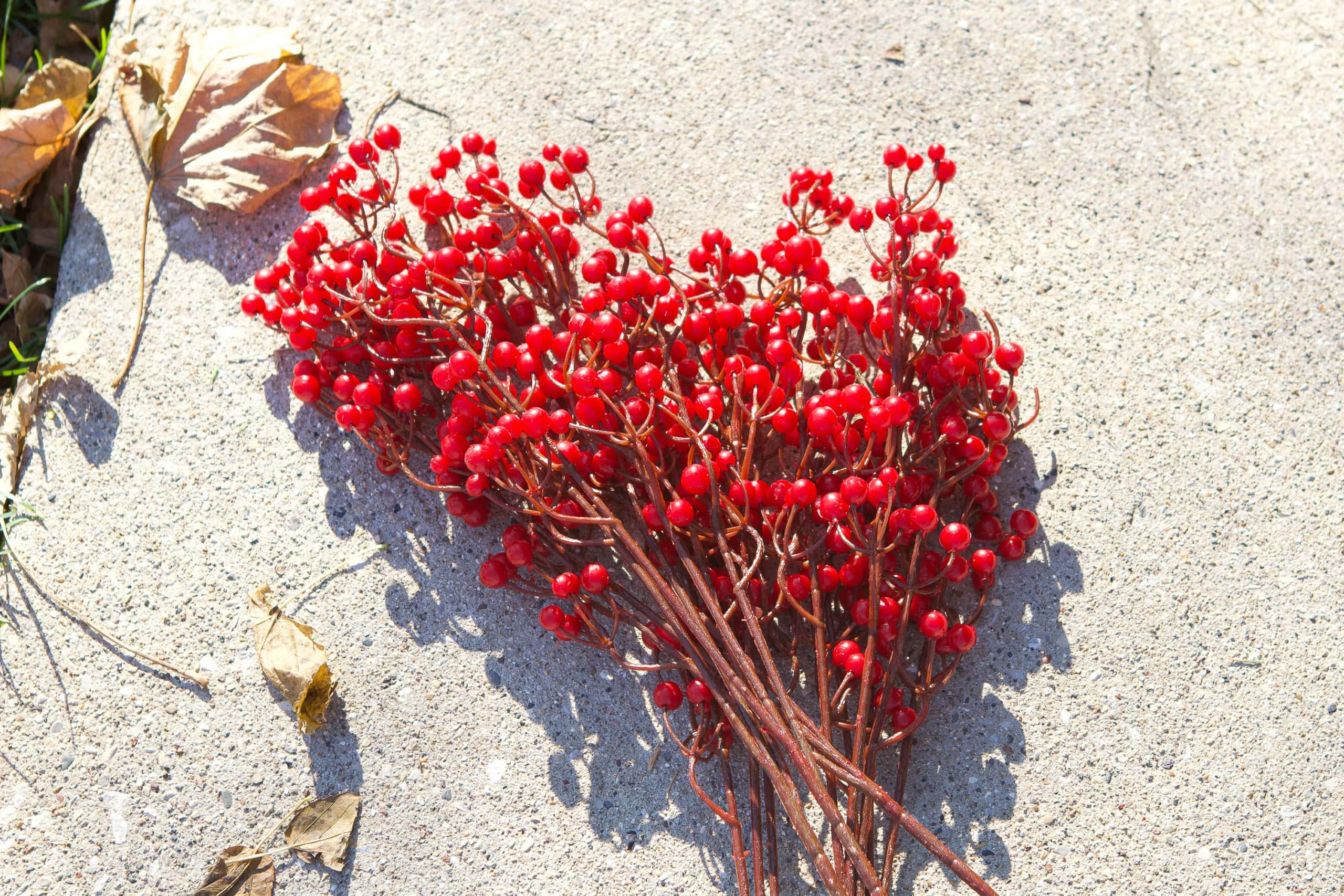 Faux berries