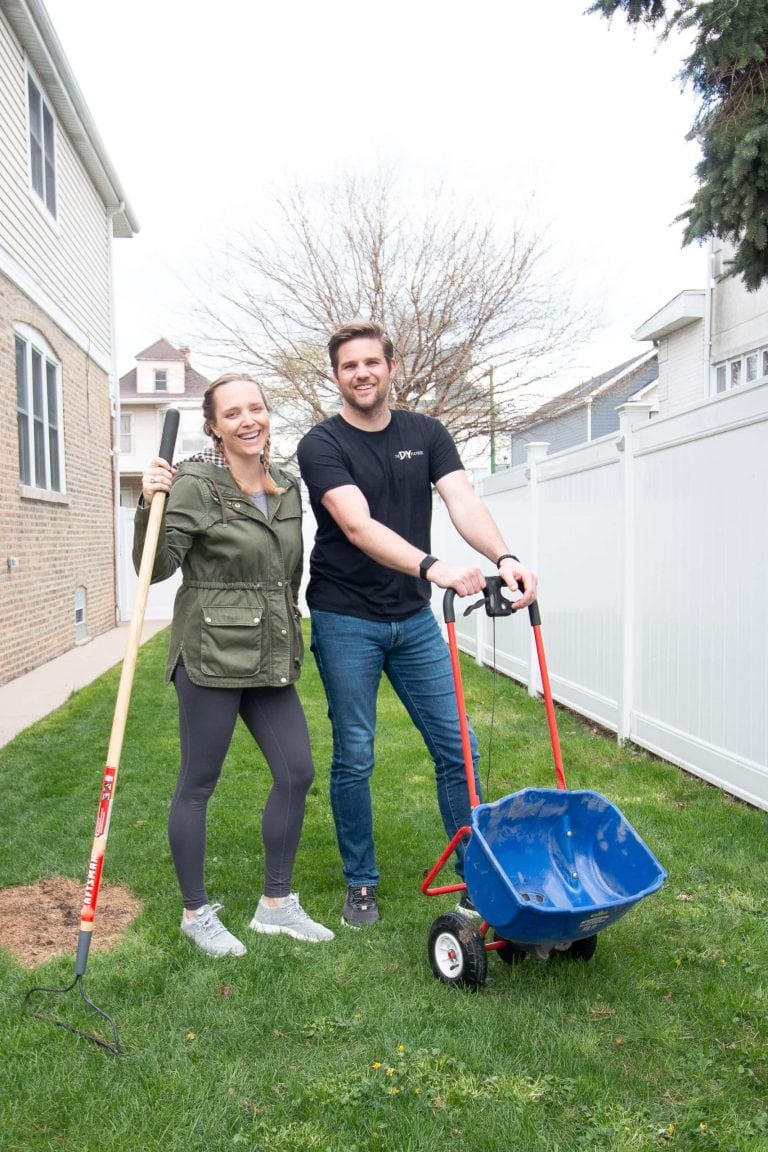 Our best tips to prep your lawn for spring