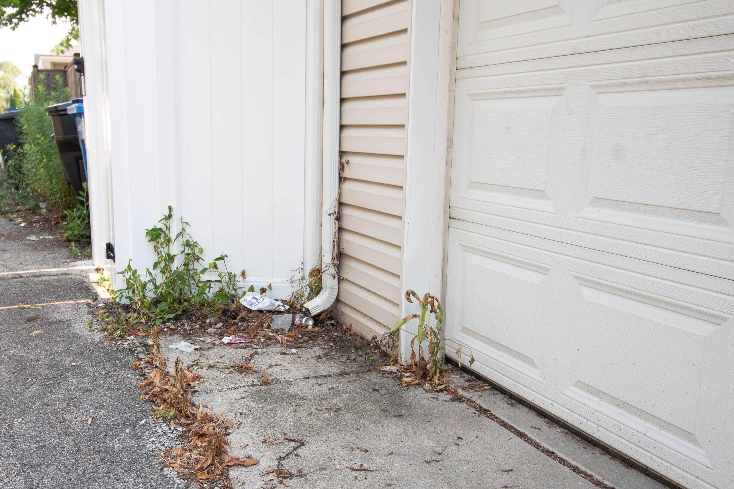 Our dirty alley 