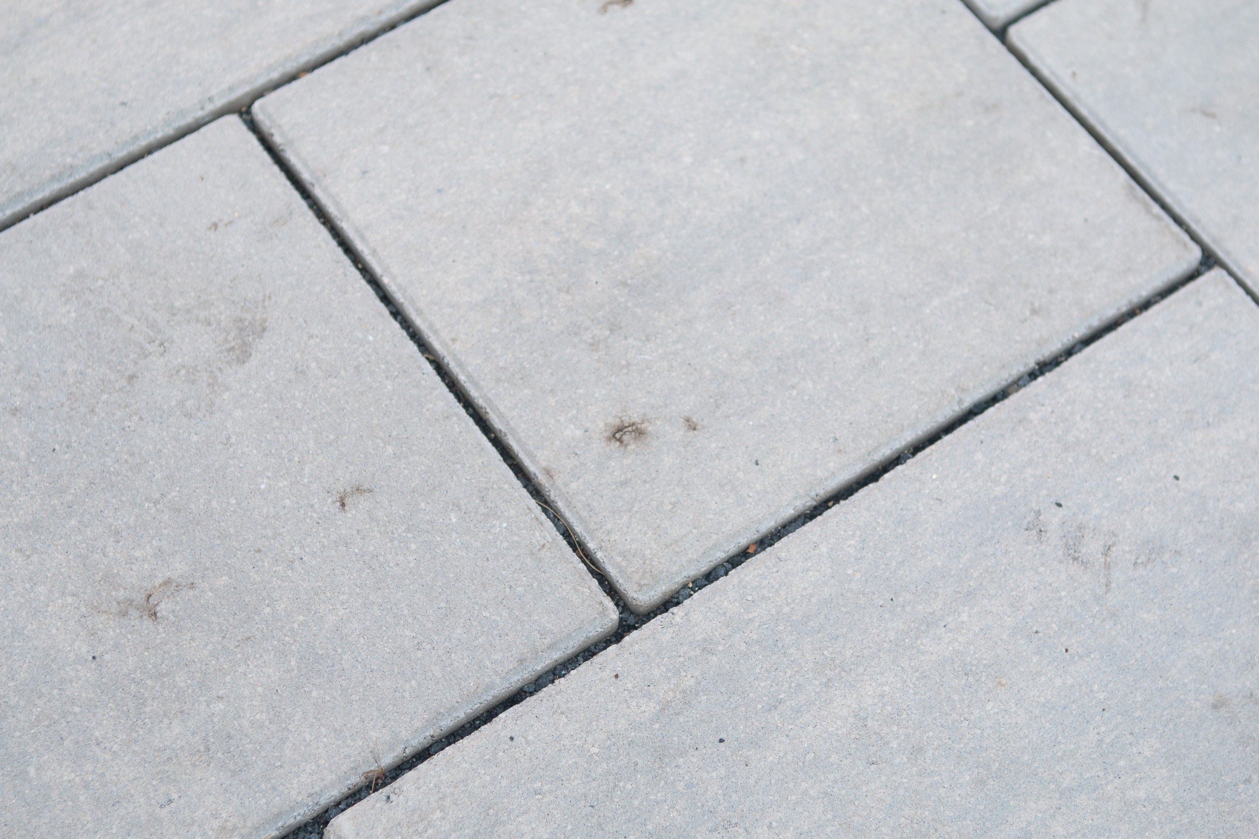 Our backyard to-do list includes scrubbing our new pavers