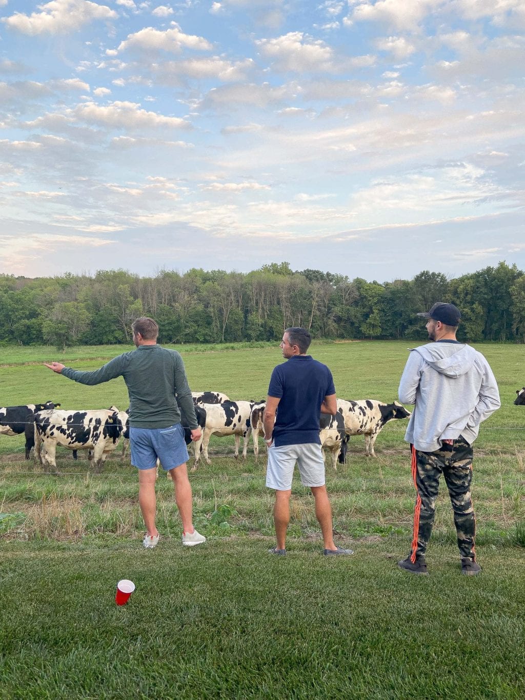 My brothers enjoying the cows