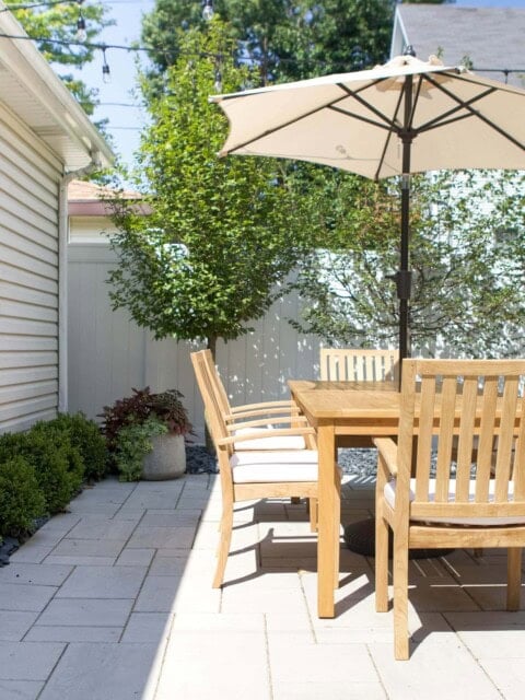 Our backyard renovation lessons