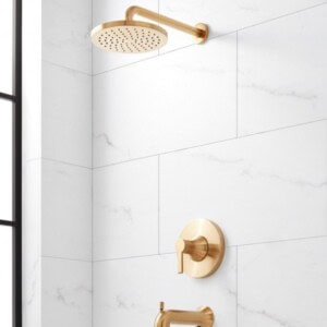 Gold Shower Hardware