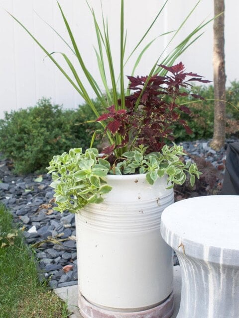What I'm putting in my fall planters