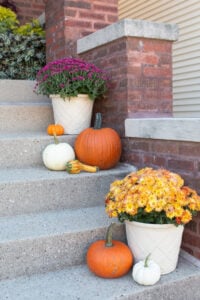 Seasonal Seasonal