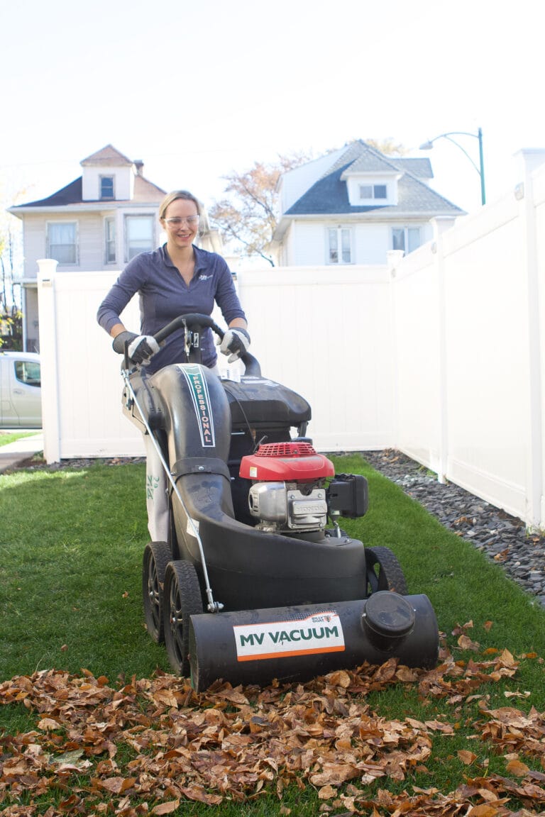 How to prep your backyard for winter