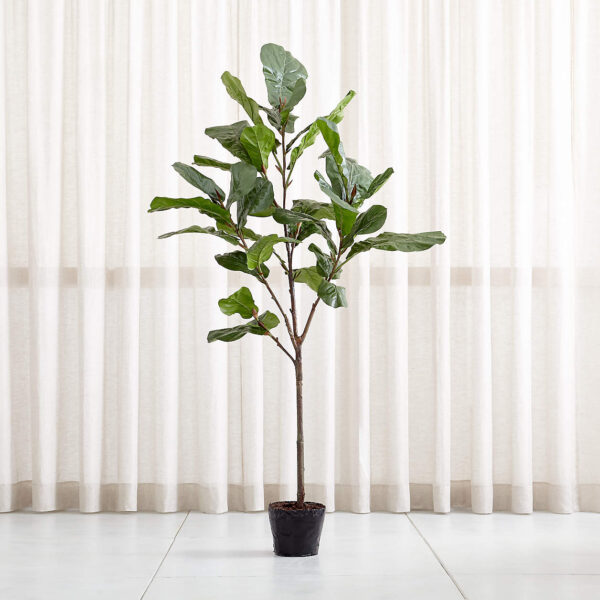 7 ft faux fiddle leaf