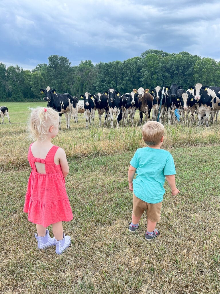 The kids during summer 2023