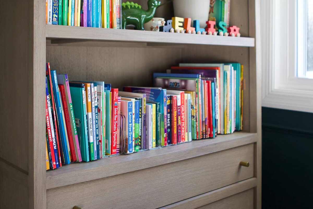All of the books on Ellis' bookshelves