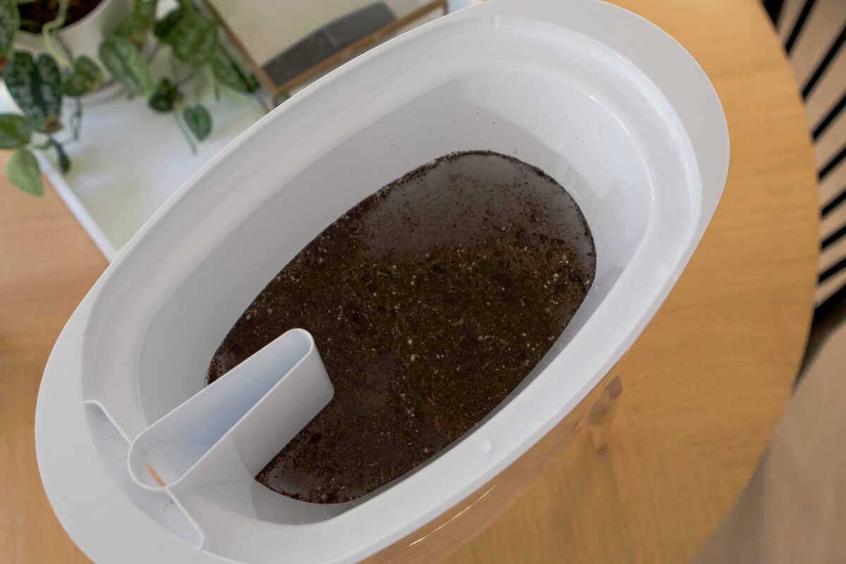 Putting dirt into a Lifestraw filter to see if clear water comes out